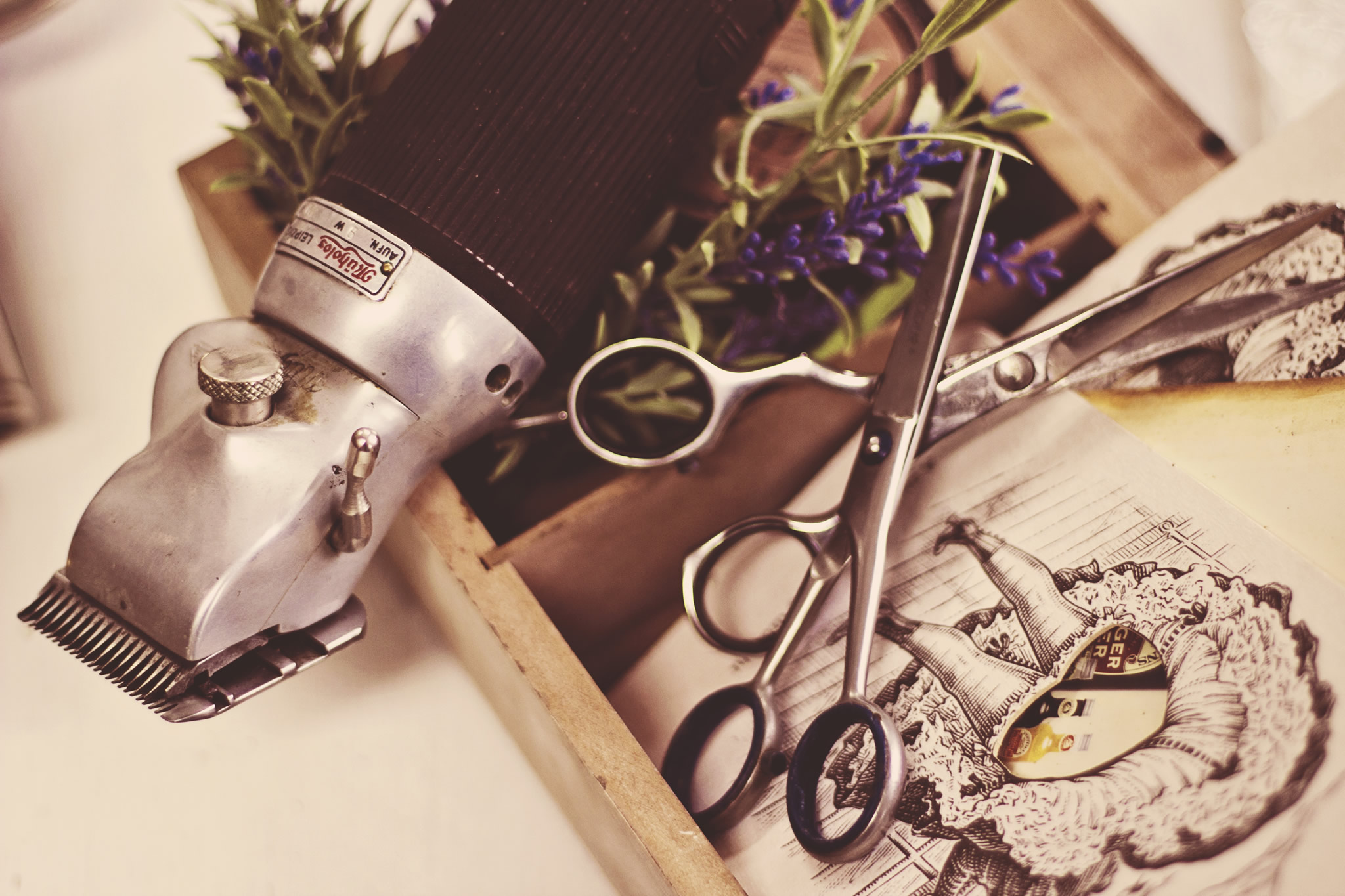 Slider Image